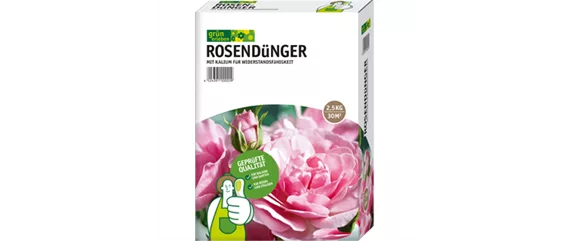 AUF ROSEN GEBETTET!