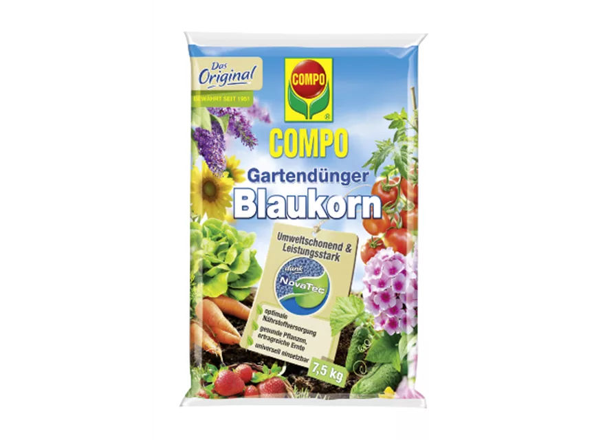 Blaukorn 