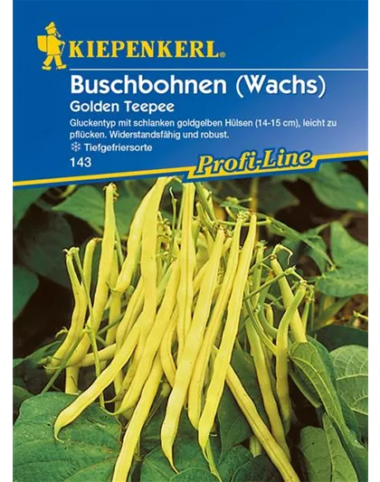 Buschbohne Golden Teepee (Wachs)