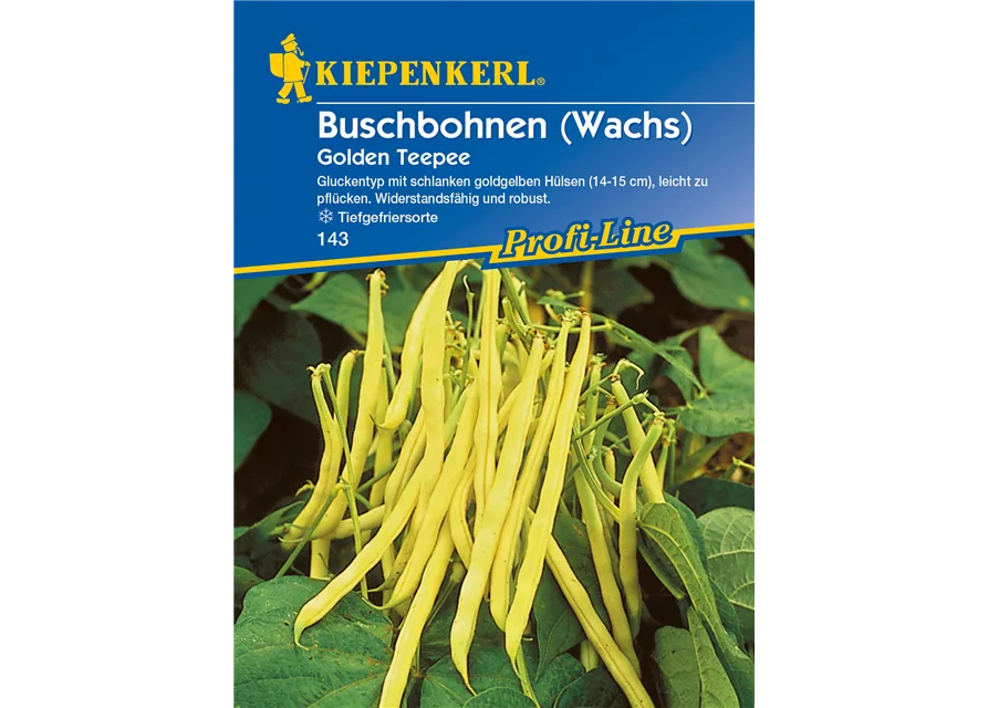 Buschbohne Golden Teepee (Wachs)