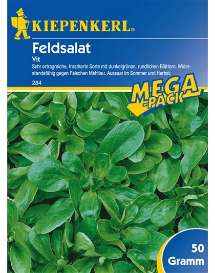 Feldsalat Vit