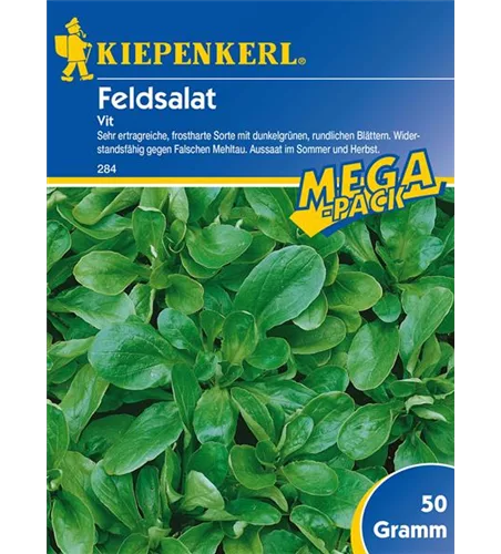 Feldsalat Vit