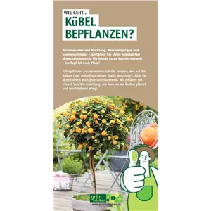 WIE GEHT... KüBEL BEPFLANZEN?