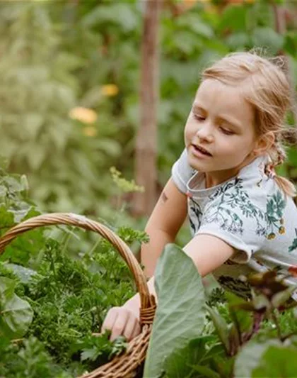 KINDER SPIELERISCH IN DIE ERNTE EINBEZIEHEN